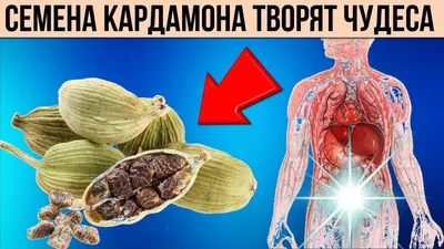 Кардамон зеленый семена (green cardamoms seeds) TRS | ТиАрЭс 50г |  AliExpress