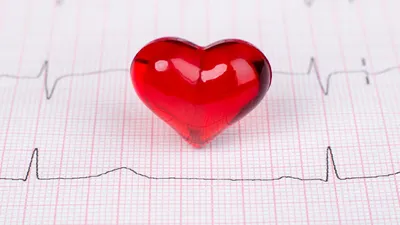розовое сердце с белым импульсным значком. пульс. Сердцебиение одинокой  кардиограммы. кардиолог здорового образа жизни Иллюстрация вектора -  иллюстрации насчитывающей здорово, частота: 272320029