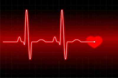 Рисунок кардиограмма сердца - 34 фото