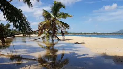 Остров Маргарита — Жемчужина Карибского моря