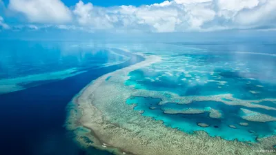 Место, где встречаются Карибское море и Атлантический океан! | LIFE -  новости | Фотострана | Пост №1059815138