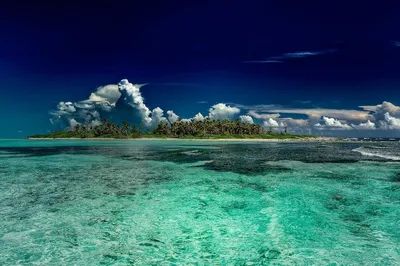 Карибское море, США - «Просто райское местечко! 🍍💙🌴Советую хоть раз там  побывать!» | отзывы