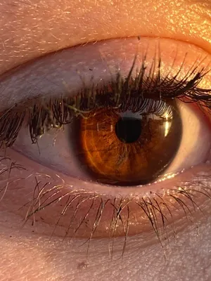 Глаз Карие Глаза Красота - Бесплатное фото на Pixabay - Pixabay