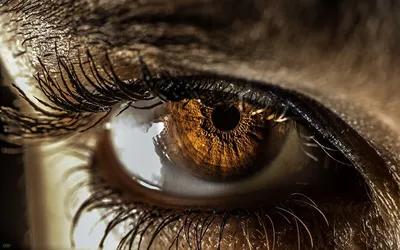 Цвет глаз может рассказать, каким заболеваниям подвержен человек - 19  апреля, 2020 Популярное «Кубань 24»