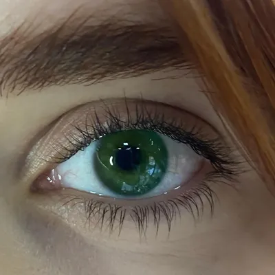 Купить оттеночные зелёные линзы для Светлых глаз Marquise Solo green ( зеленые )/ Плюсовые диоптрии в интернет - магазине Colorlens24.ru