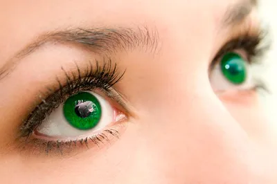 КОРЕЯ ОРИГИНАЛ Линзы цветные для глаз многоразовые годовые контактные