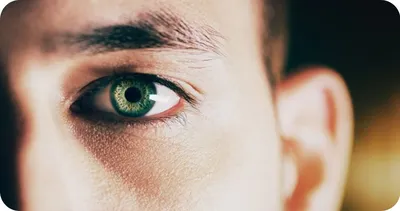 Купить 1 пара цветных контактных линз, косметические контакты для глаз,  синие контакты для карих глаз, ежегодные зеленые контактные линзы | Joom