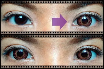 Цветные линзы для карих глаз Penni Violet Meeton. Фиолетовые линзы на карие  и темные глаза (ID#1455721842), цена: 350 ₴, купить на Prom.ua