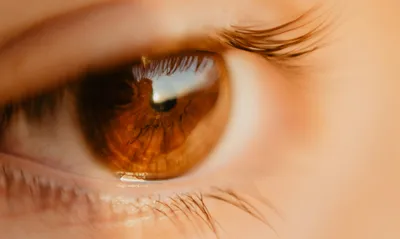 карий глаз девушки крупным планом Stock Photo | Adobe Stock