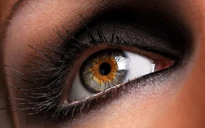 Красивый,карий глаз с макияжем и …» — создано в Шедевруме