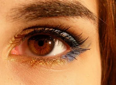 Карий глаз с красивыми ресницами , …» — создано в Шедевруме