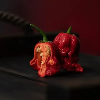 Купить семена сверхострого чили Carolina Reaper | ферма Вогняр