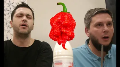 Огонь !! Пробуем самый ОСТРЫЙ чили перец В МИРЕ! КАРОЛИНА РИПЕР ( Carolina  REAPER Каролинский жнец ) - YouTube