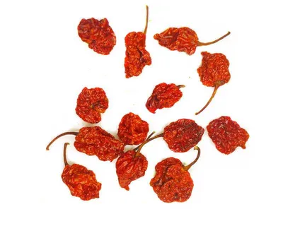 Острый перец чили Каролина Рипер сушеный, целые стручки / Carolina Reaper -  отзывы покупателей на маркетплейсе Мегамаркет | Артикул: 600004809206