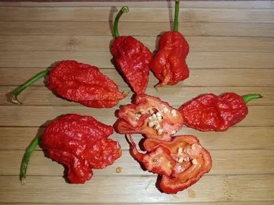 Carolina Reaper x TS Batch T - купить Каролина Рипер в Москве