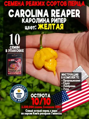 Острый перец Каролина Рипер красный( Carolina Reaper Reb) семе...: цена 85  грн - купить Семена на ИЗИ | Украина