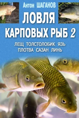 О рисках, связанных с употреблением рыбы и рыбной продукции | Новости и  события | Управление Роспотребнадзора по Воронежской области