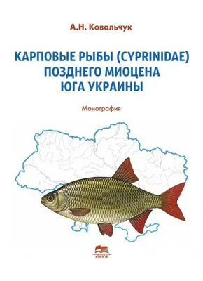 За полгода в Новгородской области вырастили более 1 тысячи тонн рыбы на  продажу | Новгородские Ведомости