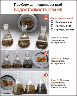 Черви в печени. От какой рыбы можно заразиться описторхозом - KP.RU