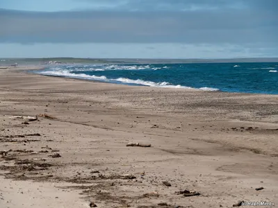 Россия: Карское море и тундра на его побережье