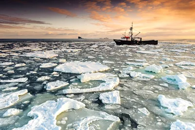 Карское море зимой - 63 фото