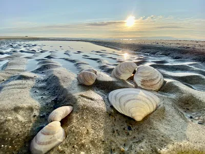 Ласковое Карское море🌊 фото marsel_gumirov | ГОРОРО | Новый Уренгой |  ВКонтакте