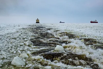 Волонтеры очистят Карское море от мусора и топливных бочек: Новости ➕1,  21.05.2020