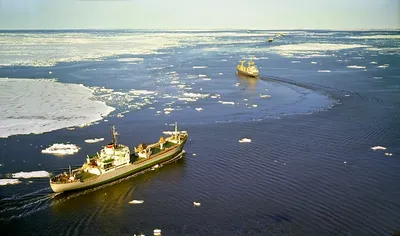 На берегу Карского моря ищут немецкую подлодку времён Великой Отечественной  - Новости РГО