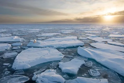 ВСЗ спустил на воду траулер «Карское море»