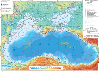 АЗОВСКОЕ МОРЕ: отдых, курорты, цены 2024