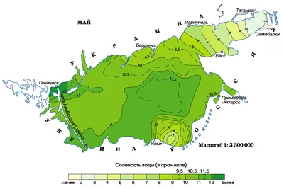 Азовское море