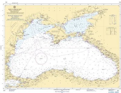 В России хотят закрепить статус Азовского моря как внутреннего водоема  России | greenbelarus.info
