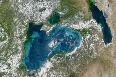 Экологические последствия подрыва плотины Каховской ГЭС: в акваторию Черного  моря приплывает мусор и мины из зон трагедии - На пенсии