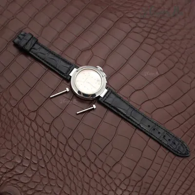 Мужские часы Pasha Seatimer Large (W31077U2) - купить в Украине по выгодной  цене, большой выбор часов Cartier - заказать в каталоге интернет магазина  Originalwatches