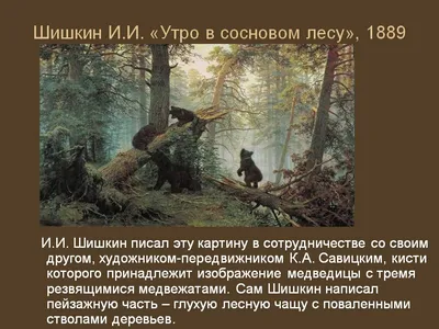 Иван Шишкин - Утро в сосновом лесу, 1889. Купить репродукцию картины Иван  Шишкин - Утро в сосновом лесу, 1889: характеристики, описание, цена, фото,  заказать, Александрия