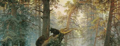 Купить картину \"Утро в сосновом лесу\" в магазине Vladimir-Painting.RU