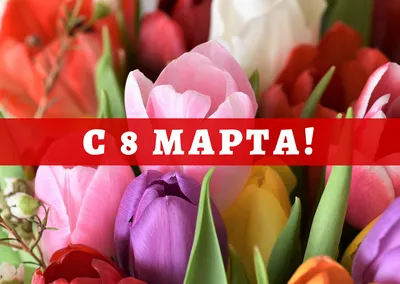 Поздравляем с 8 марта, дорогие женщины!