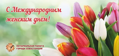 8-го марта женский день приветствия карточка золотой текст 8 мартов цвет  цветные весенние цветы на голубом фоне розовый зеленый цв Иллюстрация штока  - иллюстрации насчитывающей конспектов, украшение: 242392546