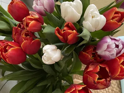 Эти цветы ни в коем случае нельзя дарить коллеге на 8 марта