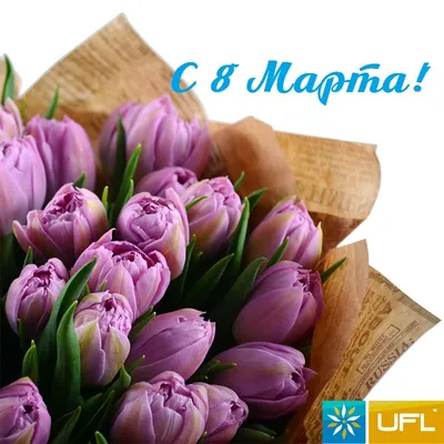 В преддверии 8 Марта цветы из Тульской области будут продавать в Москве -  Новости Тулы и области - MySlo.ru