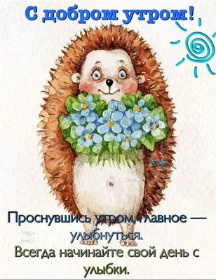 ДОБРОЕ УТРО! 🦋☀💐🦔🌿☀🦋 ПОЗИТИВЧИК | Доброе утро, Открытки,  Поздравительные открытки