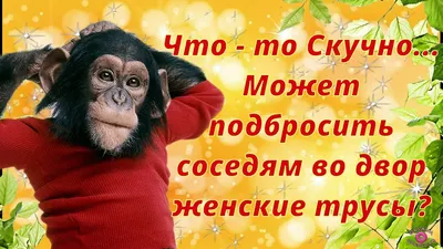 ✓ ПОЗИТИВЧИК ДЛЯ НАС ЛЮБИМЫХ.✓ ДЛЯ ПОДНЯТИЯ НАСТРОЕНИЯ!😊 - YouTube |  Позитив, Песни, Открытки