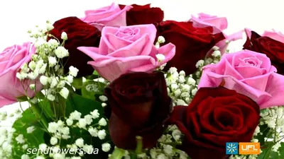Красивые цветы и оригинальные подарки к 8 марта в Минске от «Телефлора» |  teleflora.by