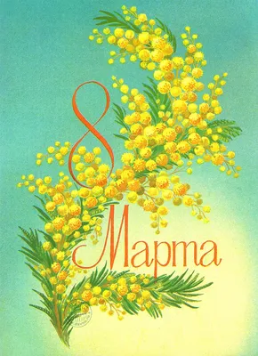 С праздником 8 марта! — Ветка мимозы на фоне весеннего леса — Почтовая  карточка АВИА 1982 года - Старая открытка - открытки СССР