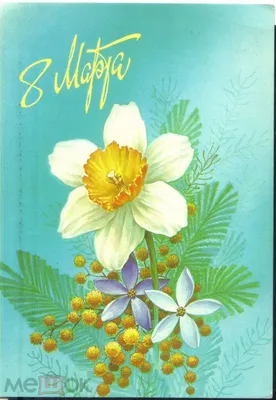 Весной буша мимозы карта 8-ое марта флористическая желтой фона Стоковое  Изображение - изображение насчитывающей свеже, страсть: 190420941