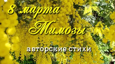 Торт Букет мимозы на 8 марта заказать в Москве