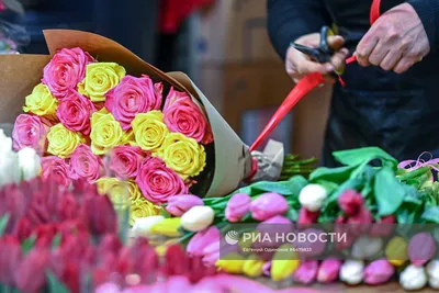 Накануне 8 Марта Рязаньстат поделился «женской» статистикой | Рязанские  ведомости