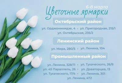 Продажа цветов накануне 8 марта | РИА Новости Медиабанк