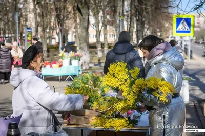В Брянске накануне праздника 8 Марта во всех районах города открылись  цветочные базары