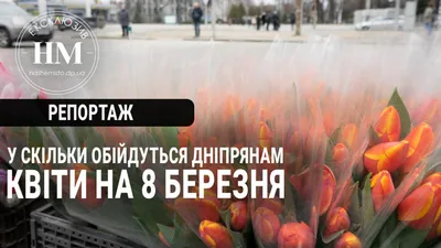 https://tyumen-news.net/society/2024/03/06/351792.html